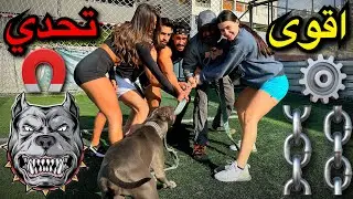 تحدي القوة مع زورو⛓️🔥