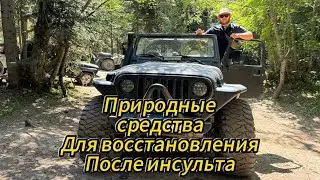 восстановление после инсульта природными средствами / ПАВЕЛ ЛИТОВКИН / www.medbka.ru