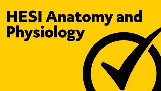 HESI Anatomy and Physiology (Study Guide)