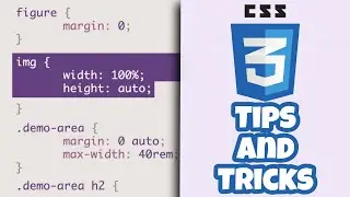 Advanced CSS Tips and Tricks | CSS Master Tutorial 2022