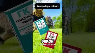 Квадроберы и закон