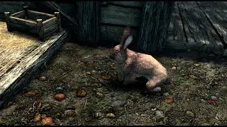 Pets Of Skyrim Rabbit pet location - The Elder Scrolls V: Skyrim Anniversary Edition