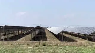 Rows and rows of Solar panels - Large West Texas Solar array - Stock Video