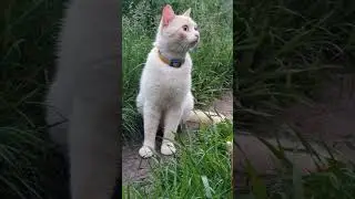 Дружбаны😼😽