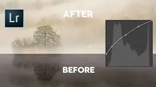 Simple Guide to Lightroom CURVES | Photography Basics