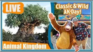 🔴Live: Early Morning Park Hopping | Disney's Animal Kingdom & EPCOT!  - Disney World Livestream