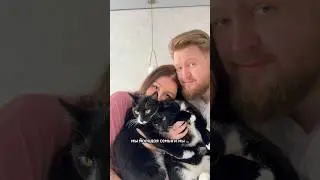 Мы устали…