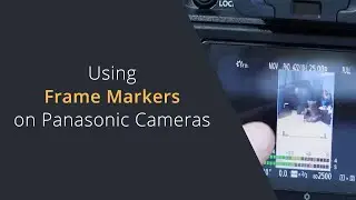 Using Frame Markers on Panasonic Cameras | Setting Vertical Frame Markers on the Panasonic GH6