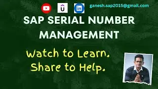 Serial Number Management in SAP MM