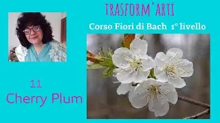 Cherry Plum -Fiori di Bach Corso Online