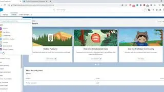 Salesforce Custom Notifications