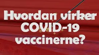 Hvordan virker COVID-19 vacciner? Animeret film med dansk tale