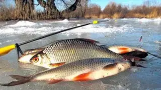 Где и когда лучше ловить плотву в феврале.ловля плотвы в феврале на мормышку.