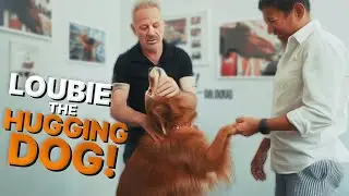 "Louboutina" The Hugging Golden Retriever gets Wellness Chiropractic from the Animal Cracker!