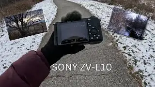 Sony ZV-E10 Photography with 16-50 Kit Lens