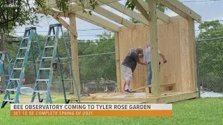 Bee Observatory coming to Tyler Rose Garden Spring of 2021