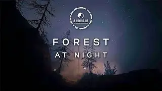 8 Hours of Forest Night Sounds | Ambient white noise at night to fall asleep fast | Outlast 2