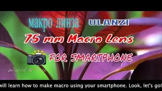 75 mm macro lens Ulanzi. Макро Объектив для Смартфона.