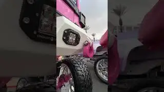 Новый ПОДАРОК ГОРДЕЯ? 