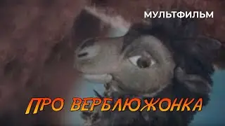 Про верблюжонка (1987 год) мультфильм