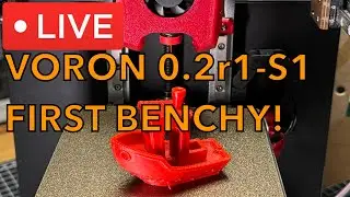 LDO V0.2r1-S1 - First Benchy Print!