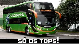 OS ÔNIBUS MAIS BONITOS DO BRASIL PASSAM AQUI | RODOVIÁRIA DA BARRA FUNDA SÃO PAULO