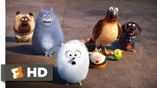 The Secret Life of Pets - Secret Route Scene (4/10) | Movieclips