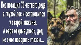 Пес понес 70-летнего деда в лесную чащу и остановился возле старой хижины. А открыв дверь, побледнел