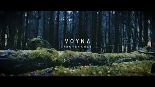 VOYNA - Provenance