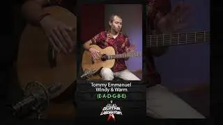 Windy & Warm - Tommy Emmanuel на баритоне 