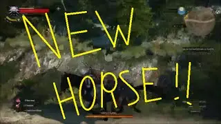 How to get a new horse! Witcher 3!