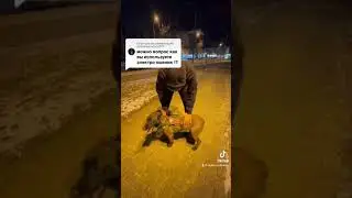 Радио ошейник добро или зло