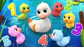 5 Little Ducks🐣(Learn Colors Song) | Newborn Educational Nursery Rhymes & Kids Songs