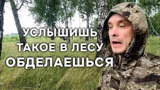 Эти надрывные крики НАПУГАЮТ любого!