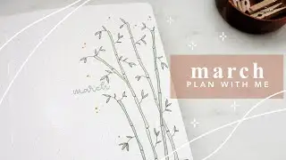 plan with me march 2024 | bamboo theme | monthly bullet journal setup