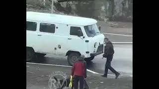 В Петропавловске-Камчатском ротвейлер напал на прохожего