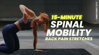 15 Min. Spinal Mobility Routine | Back Pain Relief Stretches | Follow Along w/ Music | Daily Flow