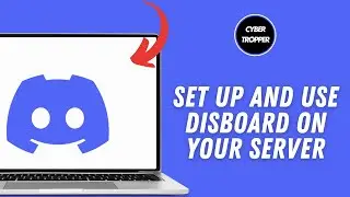 How To Set Up and Use Disboard on your Discord Server