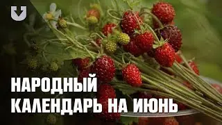 Народный календарь на июнь