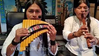 The Lonely Shepherd - одинокий пастух - Pastor Solitario - Einsamer Hirte - Panflute - WUAUQUIKUNA
