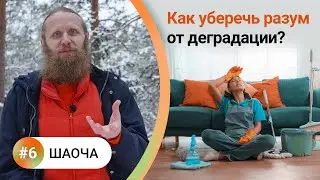 Как жить в балансе? — 6. ШАОЧА. 4 вида чистоты для мощной медитации. Как уберечь разум от деградации