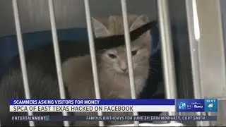 SPCA of East Texas dealing with Facebook hack