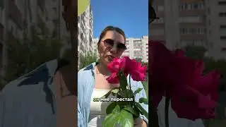 Есть такое? 