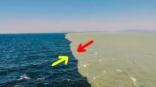 THAT'S WHY TWO OCEANS DON'T MIX