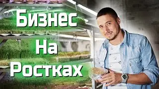 Бизнес на  Проростках