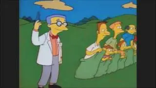 Burns Holds A Picnic  - The Simpsons