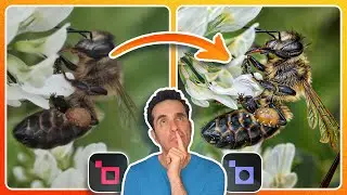 🤔 ¿Quieres fotos REALES o fotos INCREÍBLES? (Gigapixel, Photo AI, krea.ai) 📷