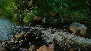 Asmr relaxing sounds for sleep, splashing water sounds for sleep, soft river sounds without music