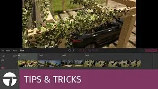 Export a part from an animation | Tips & Tricks | Twinmotion