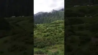 Beautiful Pakistan | Northern Areas | Swat | #nature #swat #azharhashmi